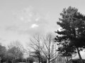 CIMG0605
